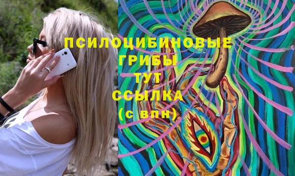 герыч Алексин
