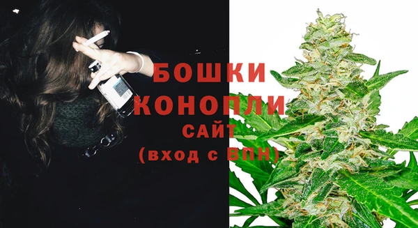 дурь Рославль