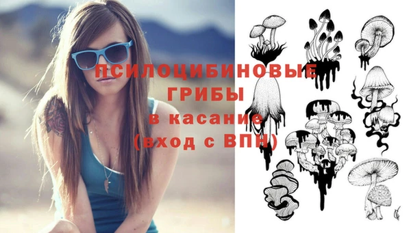 герыч Алексин