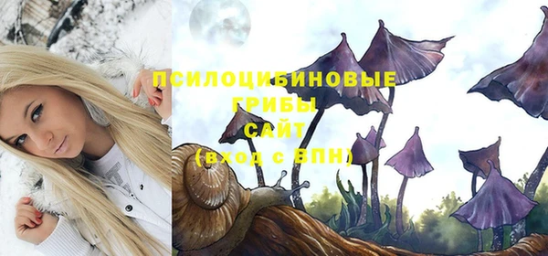 герыч Алексин