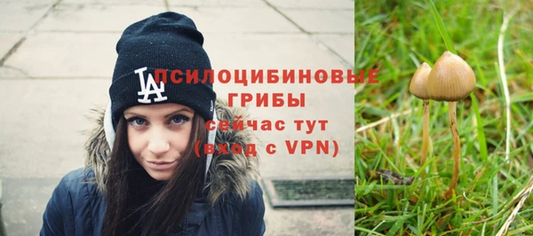 герыч Алексин